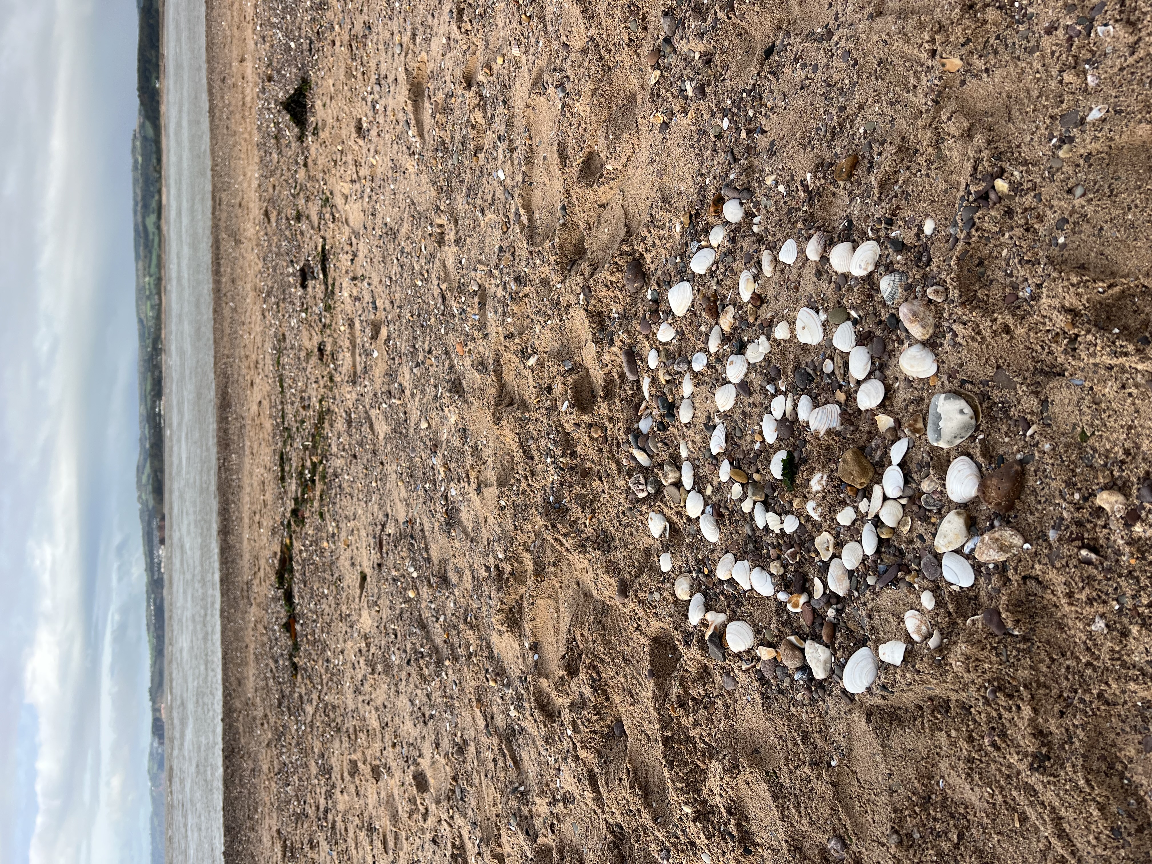 NEW Starfish Explorers 0-5 yrs MON 11-12pm