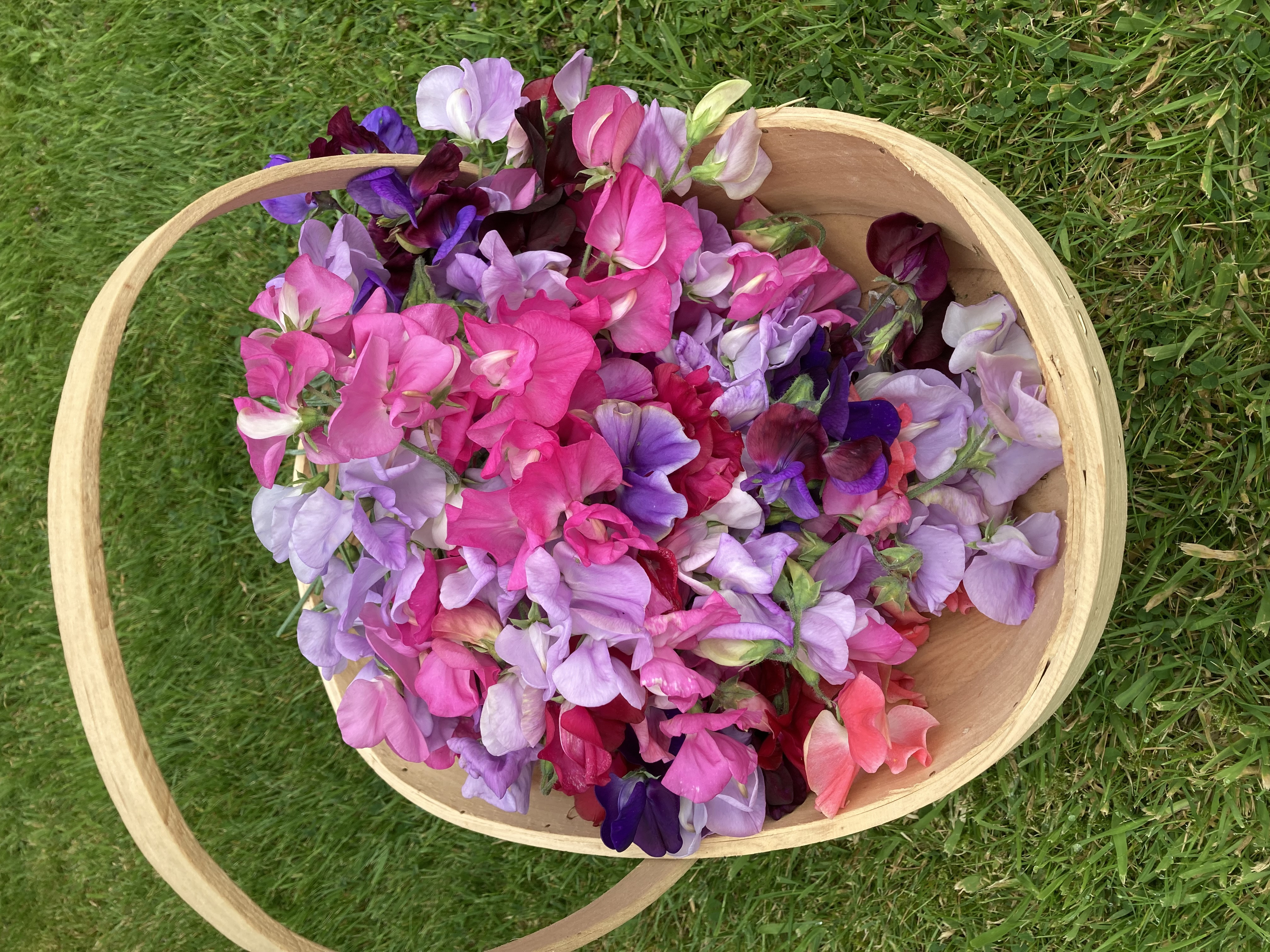 East Budleigh Village Community Fundraising